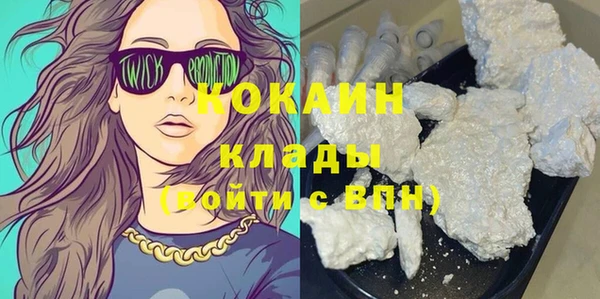 ГАЛЛЮЦИНОГЕННЫЕ ГРИБЫ Верея