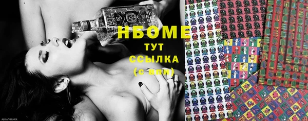 ГАЛЛЮЦИНОГЕННЫЕ ГРИБЫ Верея
