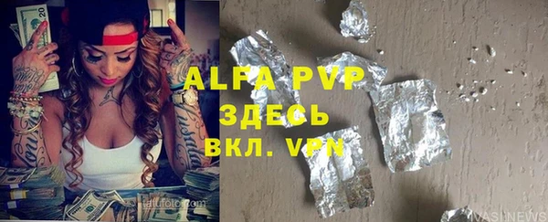 ГАЛЛЮЦИНОГЕННЫЕ ГРИБЫ Верея