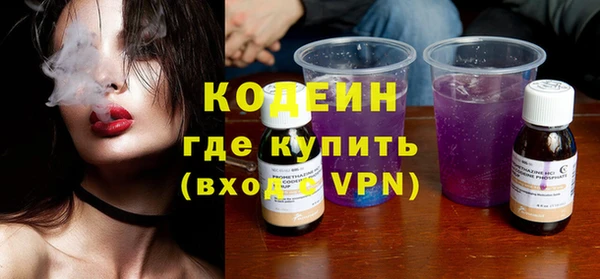 ГАЛЛЮЦИНОГЕННЫЕ ГРИБЫ Верея