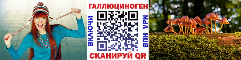 наркота Вяземский Псилоцибиновые грибы ЛСД